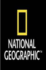 Watch National Geographic Wild War Elephants 9movies