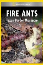 Watch National Geographic Fire Ants: Texas Border Massacre 9movies