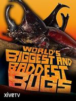 Watch World\'s Biggest and Baddest Bugs 9movies