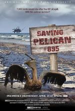 Watch Saving Pelican 895 (Short 2011) 9movies