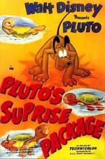 Watch Pluto\'s Surprise Package 9movies