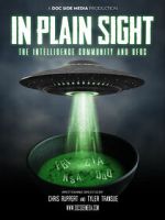 Watch In Plain Sight: The Intelligence Community and UFOs 9movies