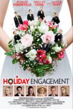 Watch Holiday Engagement 9movies