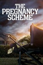Watch The Pregnancy Scheme 9movies