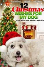 Watch 12 Christmas Wishes For My Dog 9movies