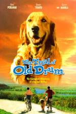 Watch The Trial of Old Drum 9movies