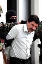 Watch The Rise and Fall of El Chapo 9movies