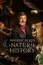 Watch Fantastic Beasts: A Natural History 9movies