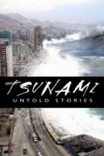 Watch Tsunami: Untold Stories 9movies