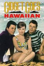 Watch Gidget Goes Hawaiian 9movies