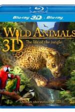 Watch Wild Animals - The Life of the Jungle 3D 9movies