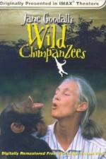 Watch Jane Goodall's Wild Chimpanzees 9movies