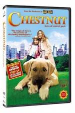 Watch Chestnut - Hero of Central Park 9movies