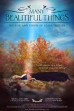 Watch Many Beautiful Things 9movies