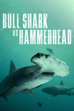 Watch Bull Shark vs Hammerhead 9movies