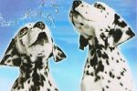 Watch 101 Dalmatians Sing Along 9movies