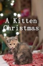 Watch A Kitten Christmas 9movies