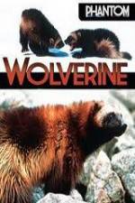 Watch National Geographic  Phantom Wolverine 9movies
