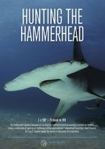 Watch Hunting the Hammerhead 9movies