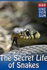 Watch The Secret Life of Snakes 9movies