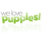 Watch We Love Puppies 9movies