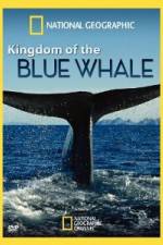 Watch National Geographic Kingdom of Blue Whale 9movies