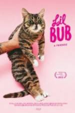 Watch Lil Bub & Friendz 9movies