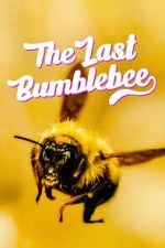 Watch The Last Bumblebee 9movies