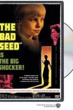 Watch The Bad Seed 9movies