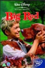 Watch Big Red 9movies