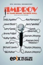 Watch The Improv: 50 Years Behind the Brick Wall (TV Special 2013) 9movies