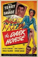 Watch The Dark Horse 9movies