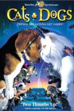 Watch Cats & Dogs 9movies