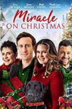 Watch Miracle on Christmas 9movies