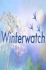 Watch Winterwatch 9movies