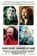 Watch David Crosby: Remember My Name 9movies