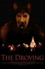 Watch The Droving 9movies