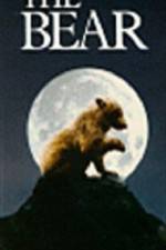 Watch The Bear - (L'ours) 9movies