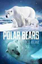 Watch Polar Bears Ice Bear 9movies