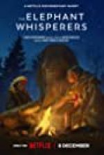 Watch The Elephant Whisperers 9movies