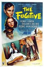 Watch The Fugitive 9movies