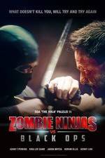 Watch Zombie Ninjas vs Black Ops 9movies
