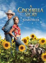 Watch A Cinderella Story: Starstruck 9movies