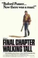 Watch Final Chapter Walking Tall 9movies