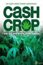 Watch Cash Crop 9movies