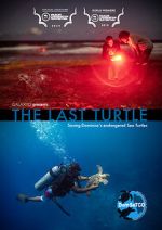 Watch The Last Turtle (Short 2019) 9movies