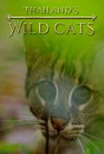Watch Thailand's Wild Cats 9movies
