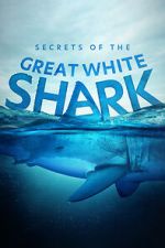 Watch Secrets of the Great White Shark 9movies