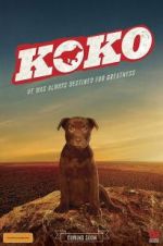 Watch Koko: A Red Dog Story 9movies
