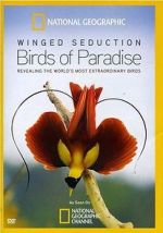 Watch Winged Seduction: Birds of Paradise 9movies